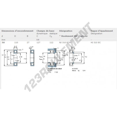 NJ310-ECM-SKF