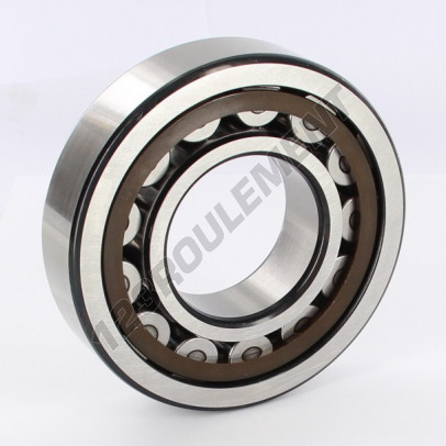 NJ310-ECP-C4-SKF