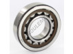 NJ310-ECP-SKF
