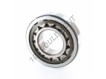 NJ312-ECP-SKF