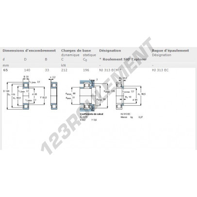 NJ313-ECM-SKF