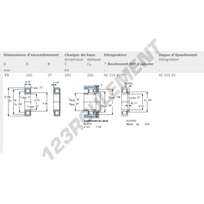 NJ315-ECM-SKF
