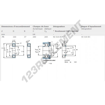 NJ315-ECP-SKF
