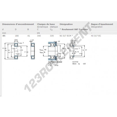 NJ317-ECM-SKF