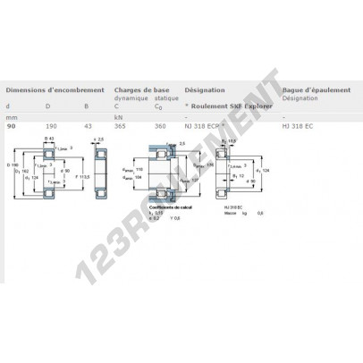 NJ318-ECP-SKF