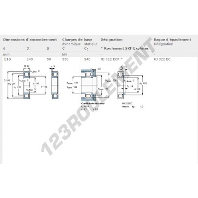 NJ322-ECP-SKF