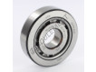 NJ406-SKF