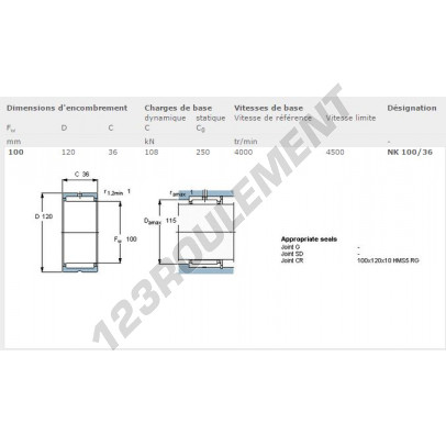 NK10036-SKF