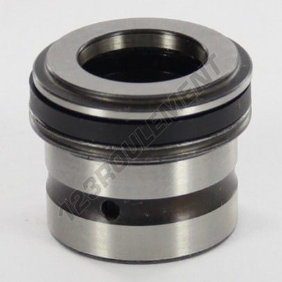 NKXR17-SKF