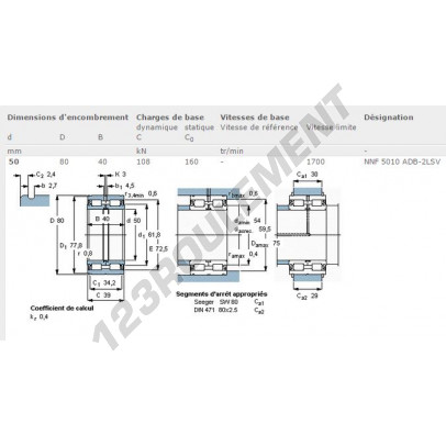 NNF5010-ADB-2LSV-SKF