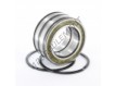 NNF5010-PP-V-2NR-ZEN