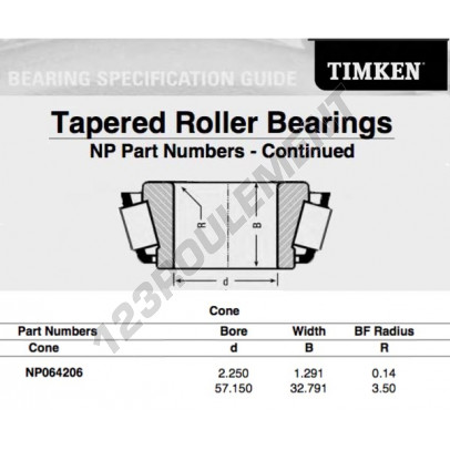 NP064206-TIMKEN