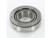 NP407977-NP183498-TIMKEN