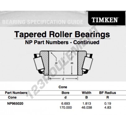 NP965020-TIMKEN