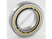 NU1008-ML-SKF