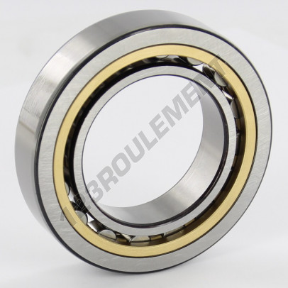 NU1008-ML-SKF