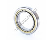 NU1015-ML-SKF