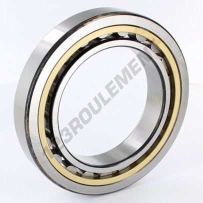 NU1018-ML-SKF