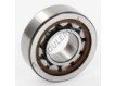 NU203-ECP-C3-SKF