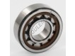 NU204-ECP-SKF