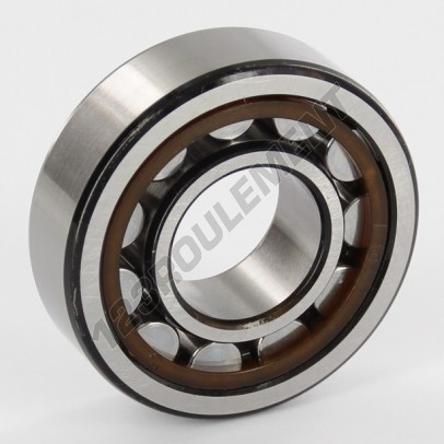 NU204-ECP-SKF