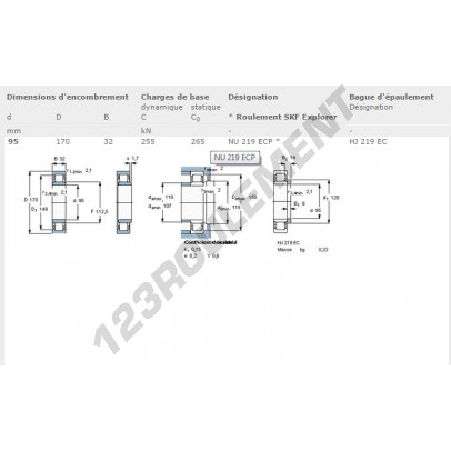 NU219-ECP-SKF