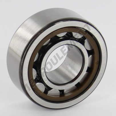 NU2204-ECP-SKF