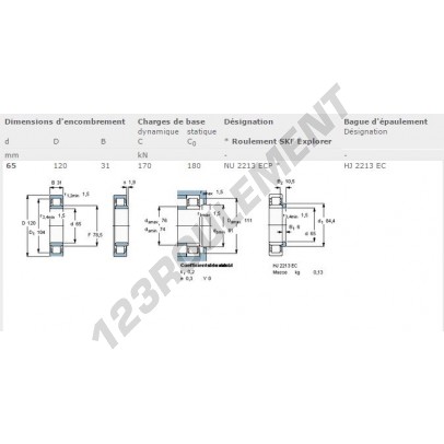 NU2213-ECP-SKF