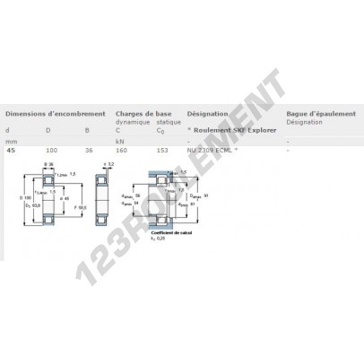 NU2309-ECML-SKF