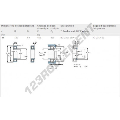NU2317-ECP-SKF