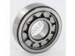 NU305-ECJ-SKF