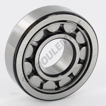 NU305-ECJ-SKF