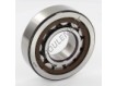 NU306-ECP-C3-SKF