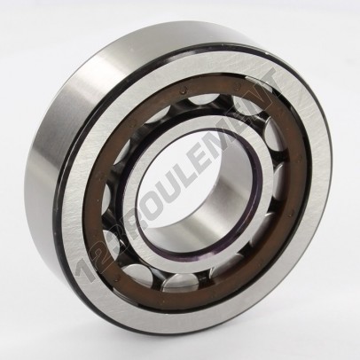 NU306-ECP-C3-SKF