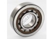 NU306-ECP-SKF