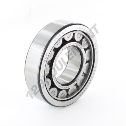 NU309-ECJ-C3-SKF