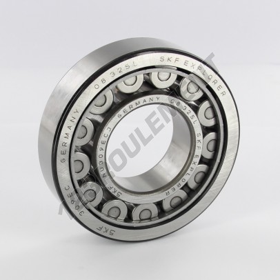 NU309-ECJ-SKF
