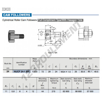 NUCF24-1-BR-IKO