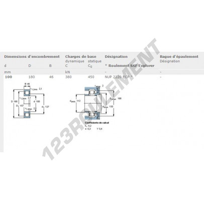 NUP-2220-ECP-SKF
