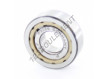 NUP202-ECPHA-C3-SKF