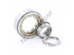 NUP202-ECPHA-C3-SKF