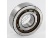 NUP203-ECP-SKF