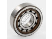 NUP204-ECP-SKF