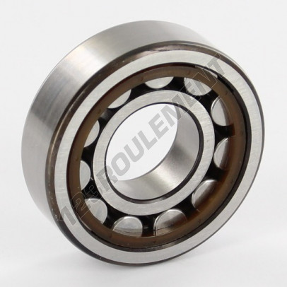NUP204-ECP-SKF