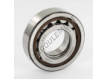 NUP206-ECP-SKF