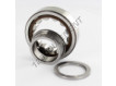 NUP206-ECP-SKF