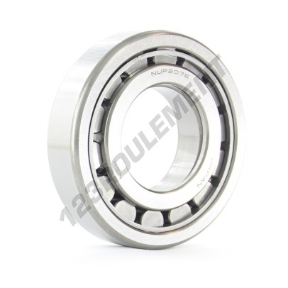 NUP207-EW-NSK