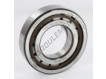 NUP208-ECP-SKF