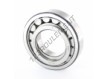 NUP209-ECJ-SKF