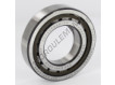 NUP209-ECP-C3-SKF